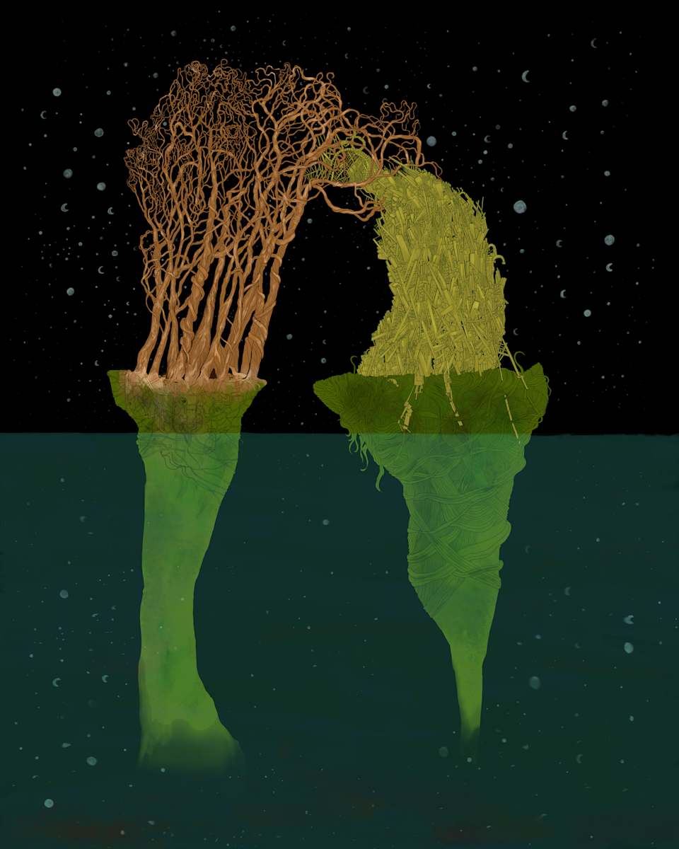 Two in the Night, Image 1.