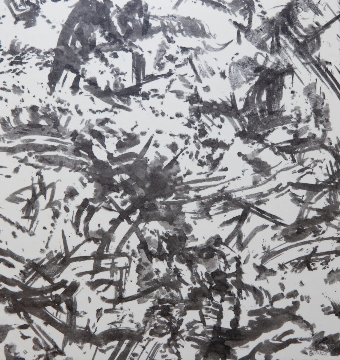 CO-42 by Sal Sirugo, Image 3.