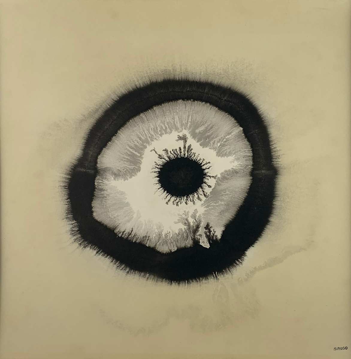 E-81 by Sal Sirugo, Image 1.