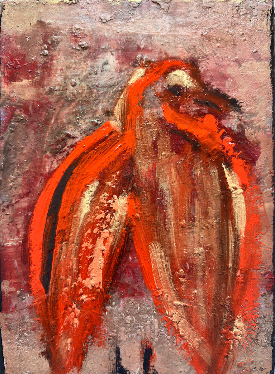 Kahu At Sunset by Gabriella Lewenz  Artist | Gallery, Image 1.