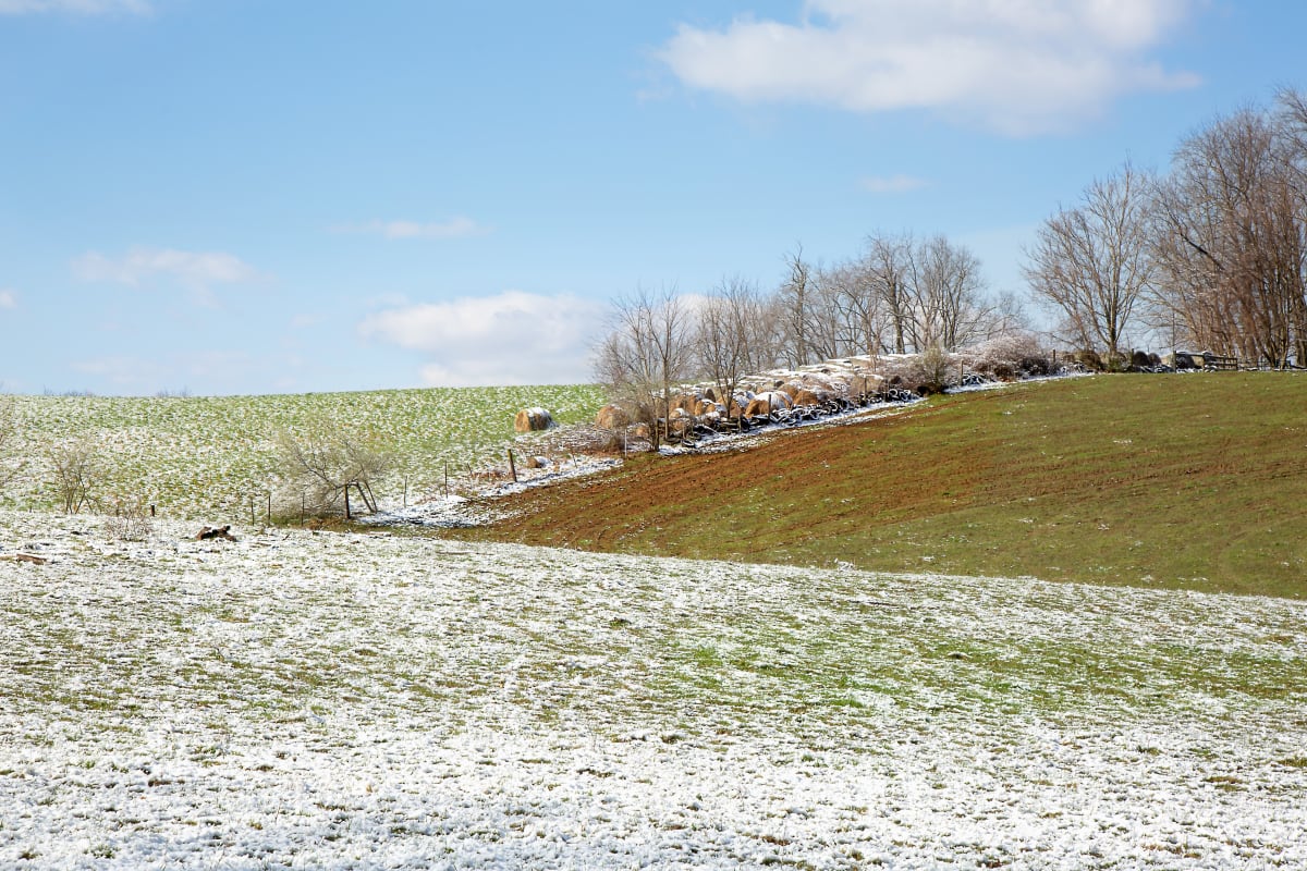 Hillside Horizons by Teri H. Hoover 