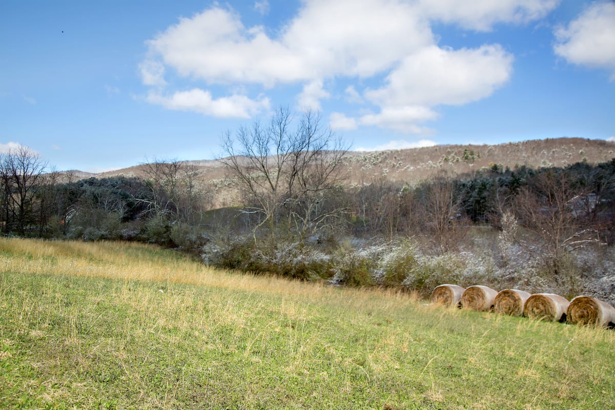 Hillside Horizon by Teri H. Hoover 
