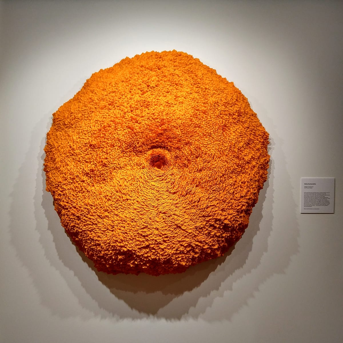 Lichen 33 by Molly Gambardella 