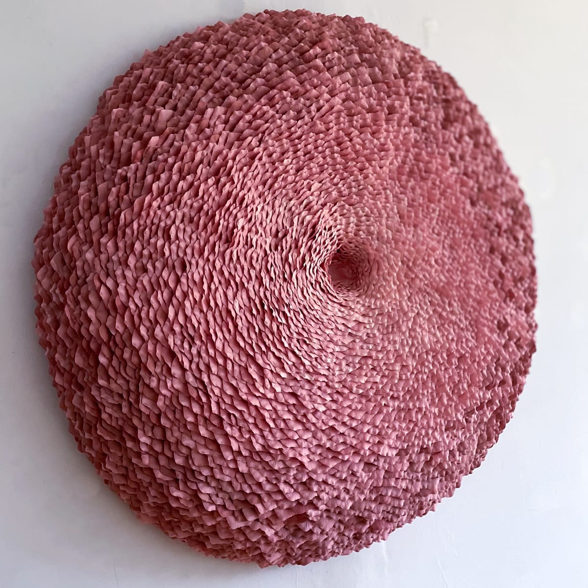 Lichen 55 by Molly Gambardella 