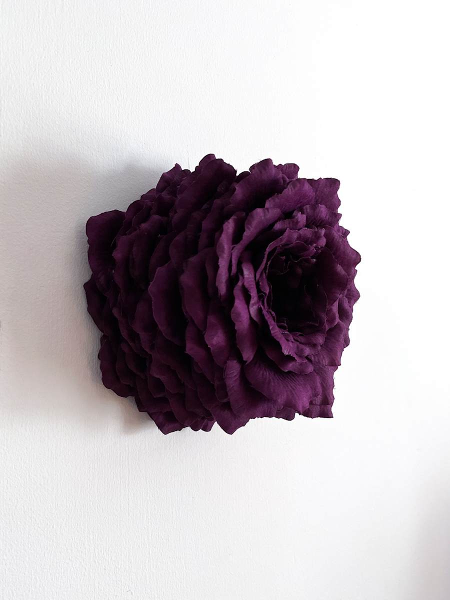 Lichen 12 by Molly Gambardella, Image 1.