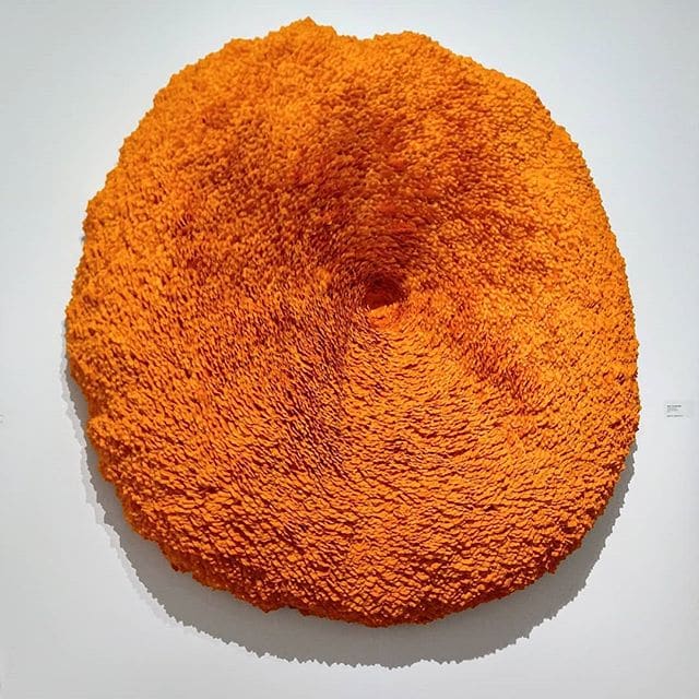 Lichen 34 by Molly Gambardella 