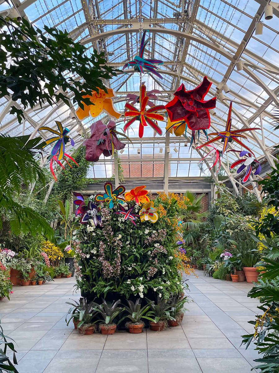 Patterns in Bloom by Molly Gambardella, Image 1.