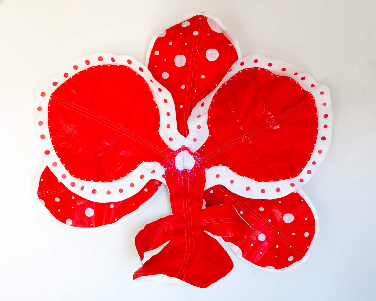 Patterns in Bloom: 2, red by Molly Gambardella, Image 4.