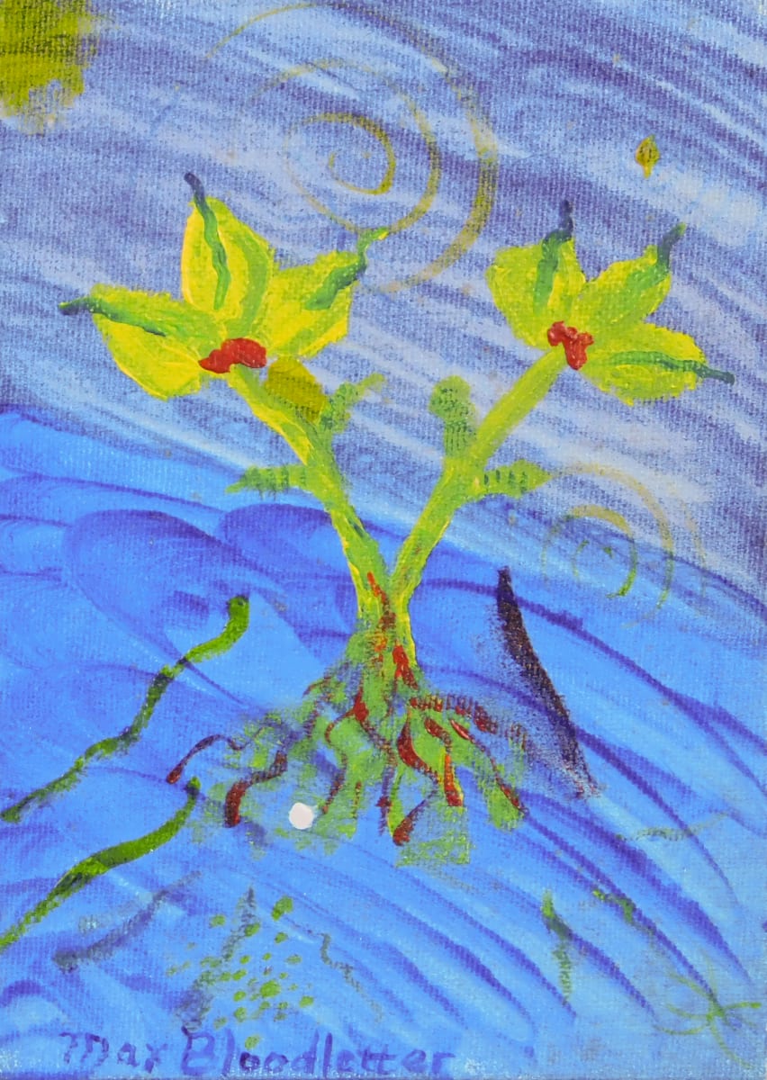 Sea Sprout, Image 1.