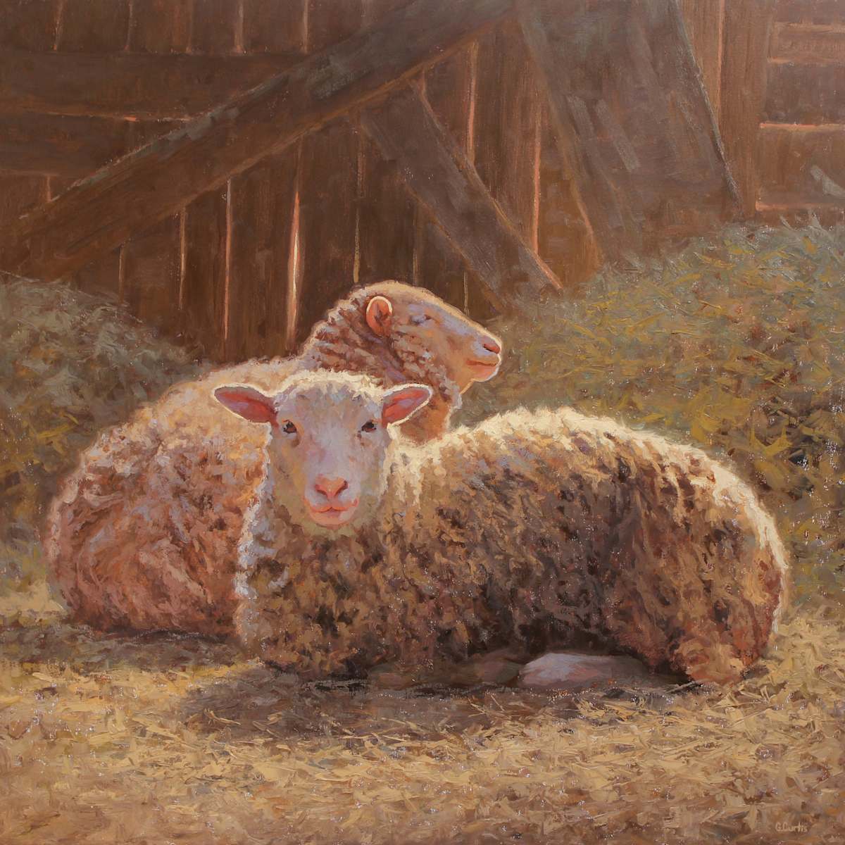 Sheepfold Repose by Grace Curtis Fine Art, Image 1.
