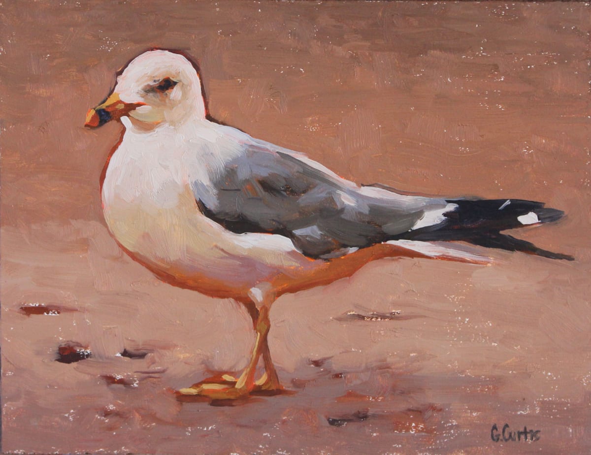 Small Seagull ii by Grace Curtis Fine Art 