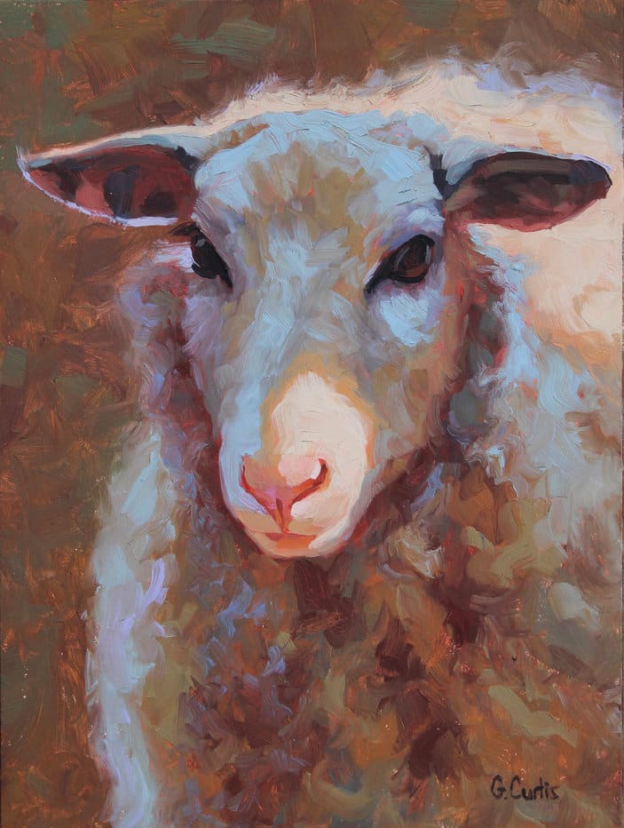 Shaded Sheep by Grace Curtis Fine Art 