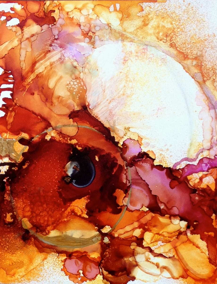 Chambers by Lou Jordan  Image: The eye? of a chambered Nautilus