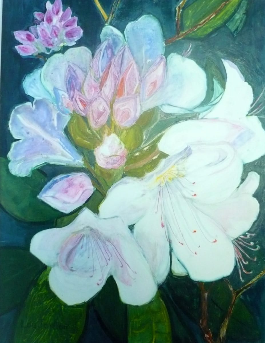 White Rhododendron by Lou Jordan  Image: From photo of flowers taken at Smith College reunion