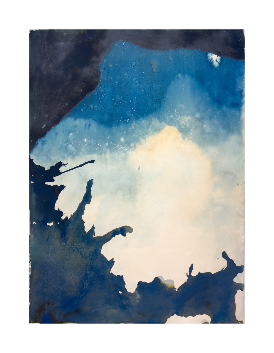 Cross Coastal Tide by Michele Randall 