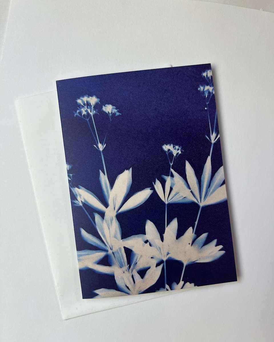 Sweet Woodruff by Michele Randall, Image 1.