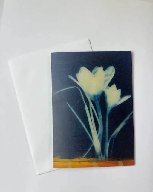 Crocus II by Michele Randall, Image 1.