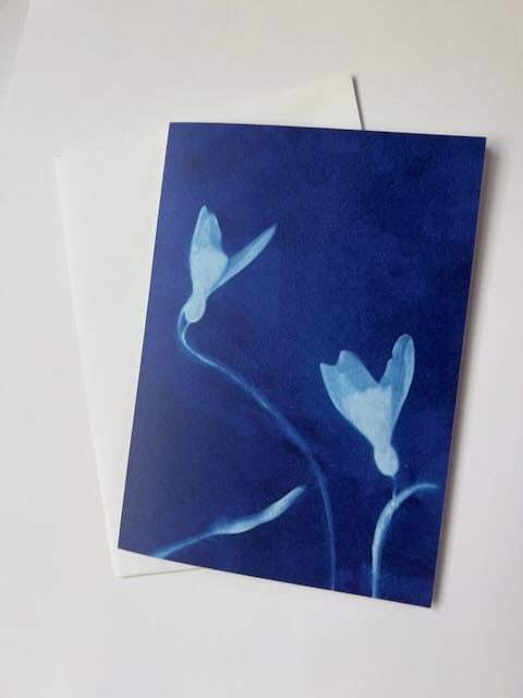Snow Drops by Michele Randall, Image 1.