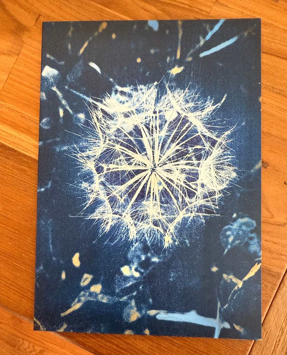 Dandelion Days by Michele Randall, Image 1.