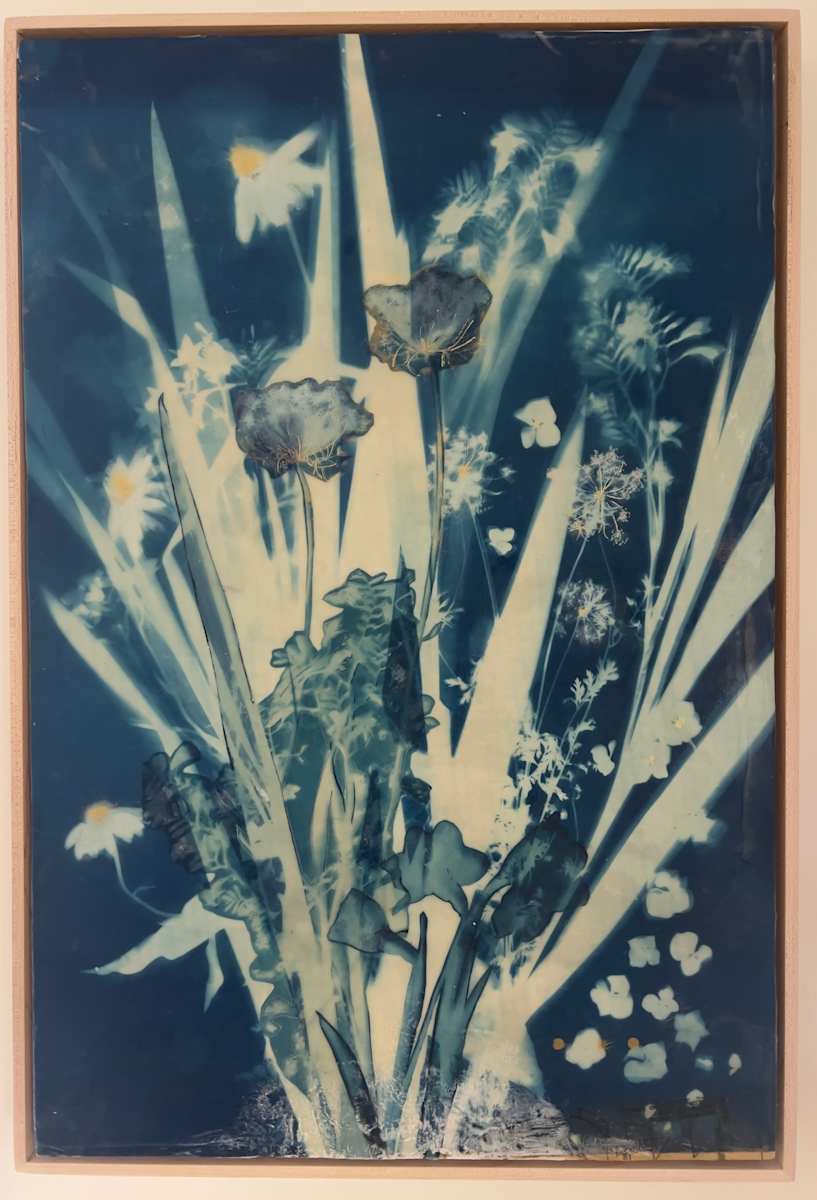 Spring Blush by Michele Randall  Image: Cyanotype and Encaustic Artwork.
Includes Frame