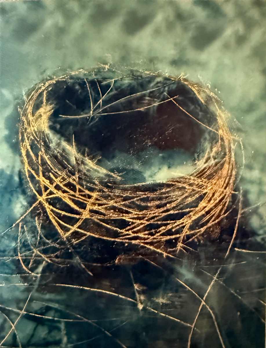 Nest II by Michele Randall, Image 1.
