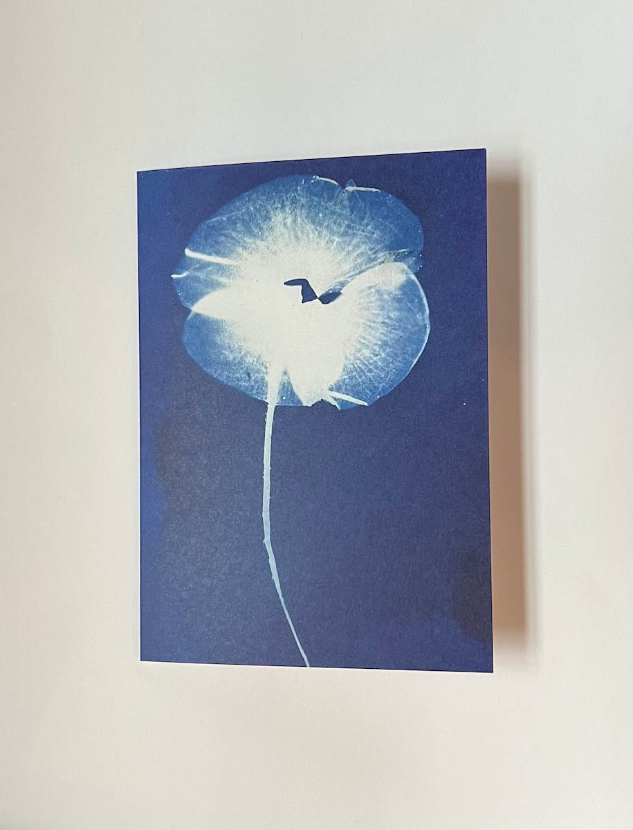 Cyanotype Note Card Poppy by Michele Randall, Image 1.