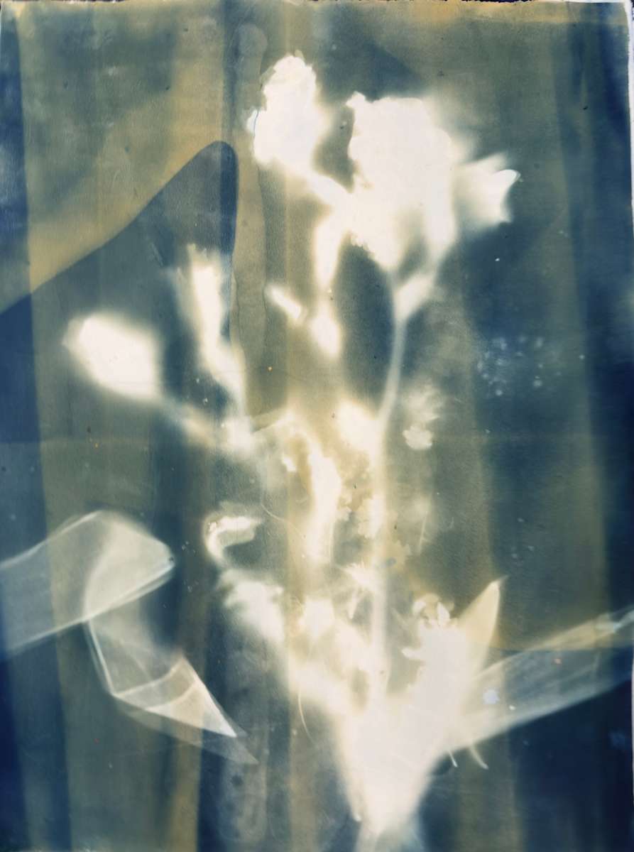 iris & Apron 5 by Michele Randall, Image 1.