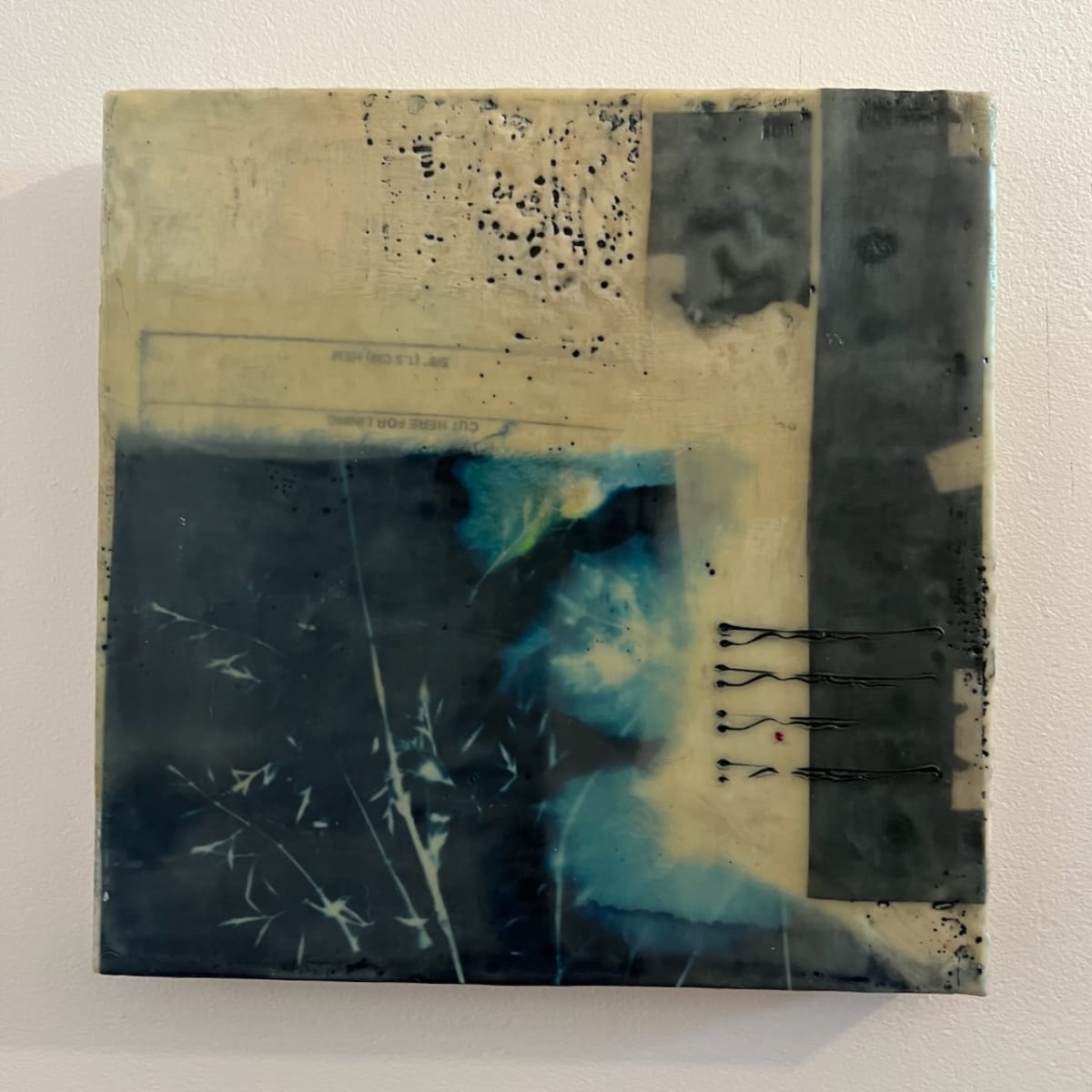 Pinned in Place by Michele Randall, Image 1.
