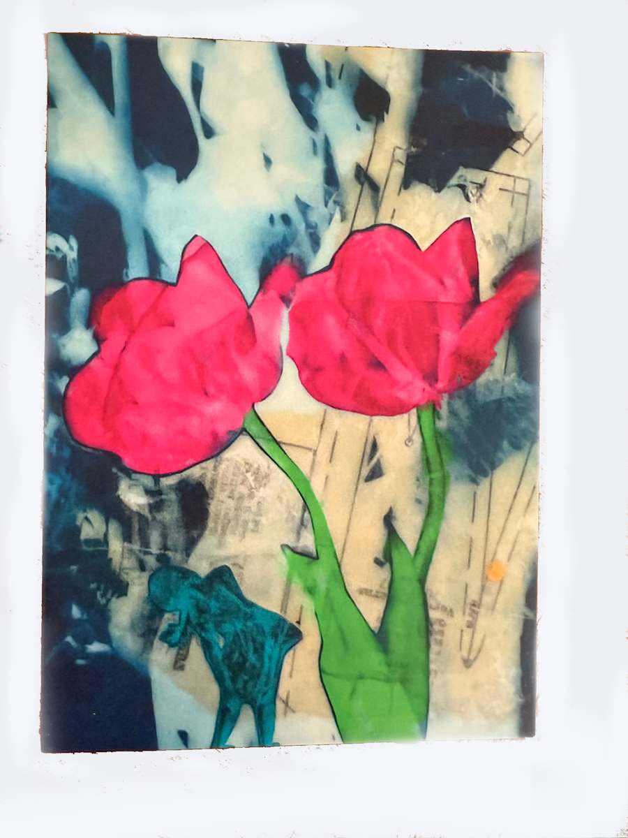 Colored Tulips by Michele Randall, Image 2.