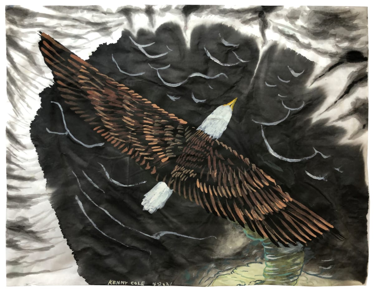 "Drawn to the Maelstrom"  Image: Bald eagle flying into funnel clouds.