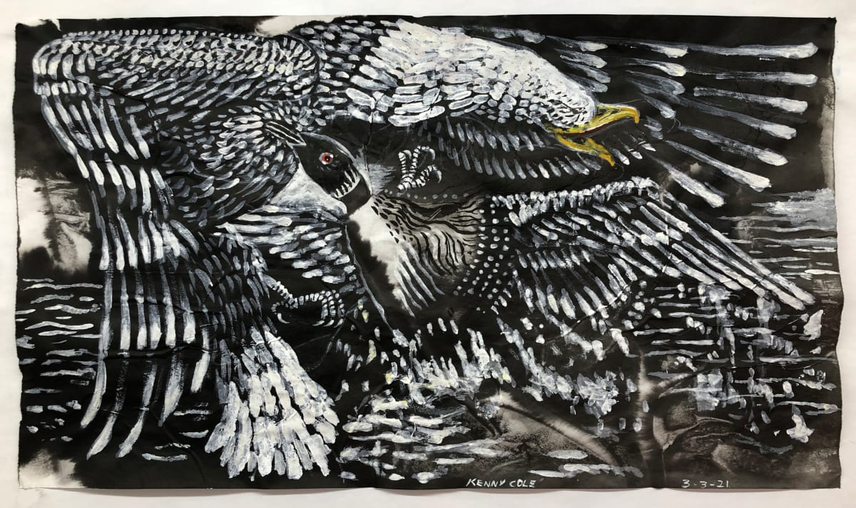 “Loon Attack”  Image: Loon attacking a bald eagle.