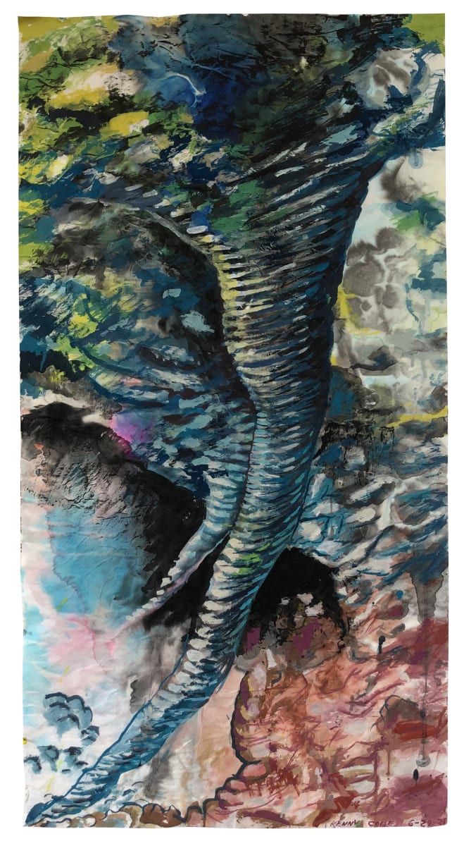 “Double Vortex”, Image 8.