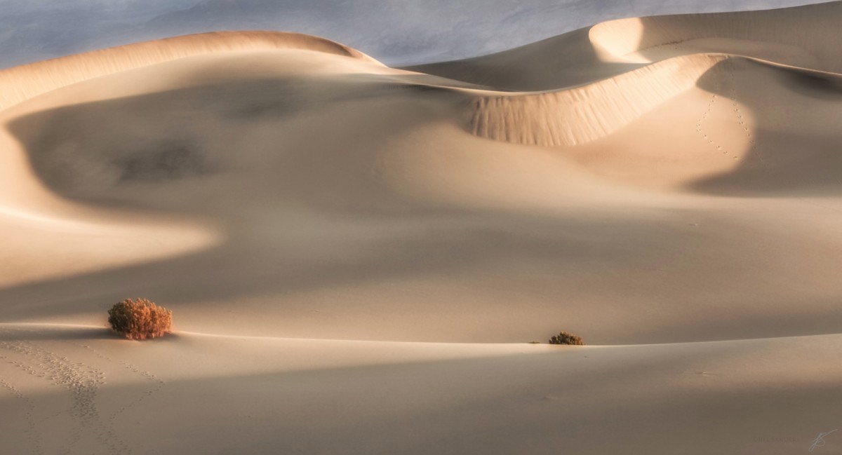Mesquite Nude by Jill Sanders 