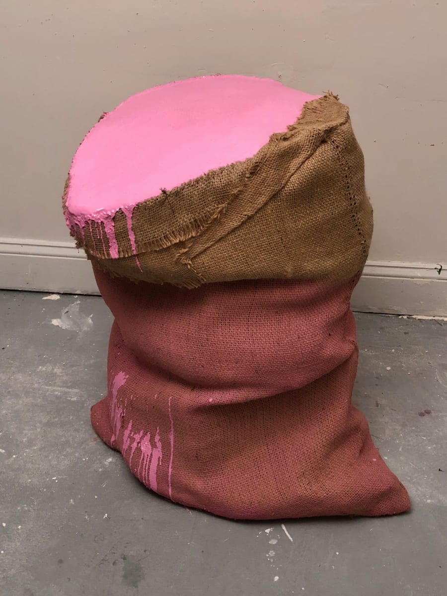 Pink Sack Painting 