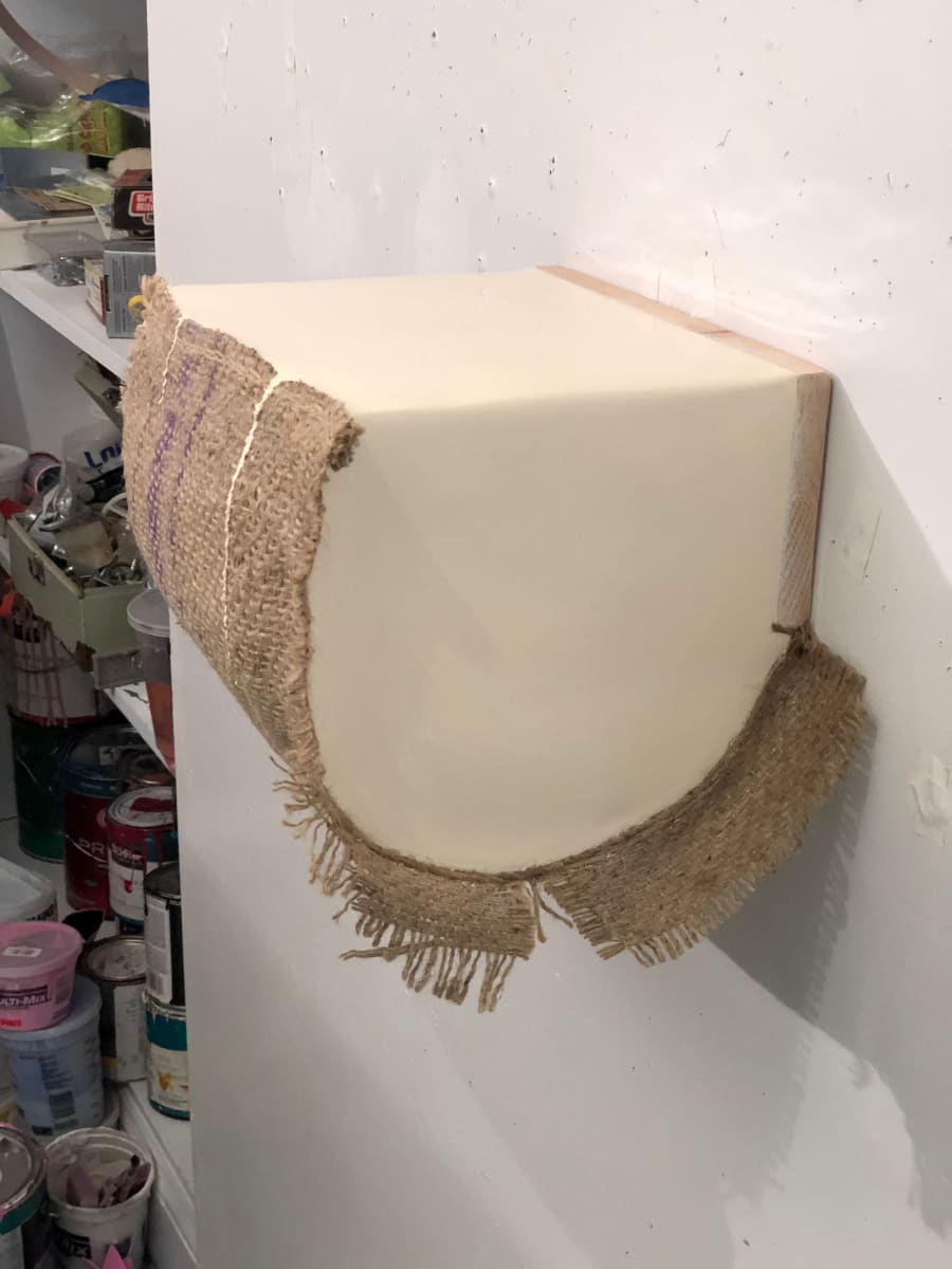 Cut Bag Section Painting (Beige) by Howard Schwartzberg 