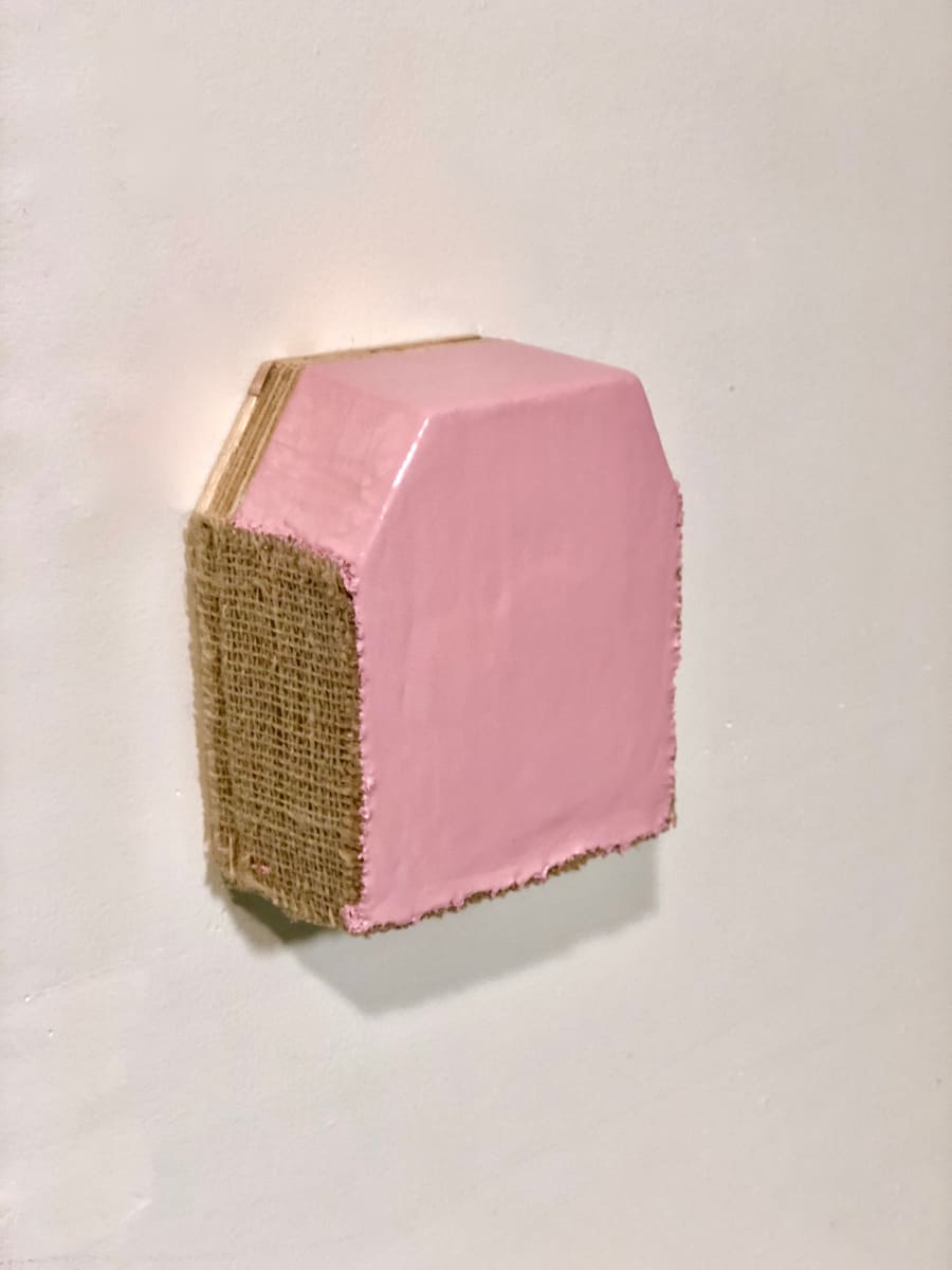 Small Section Painting (pink top hex) by Howard Schwartzberg 