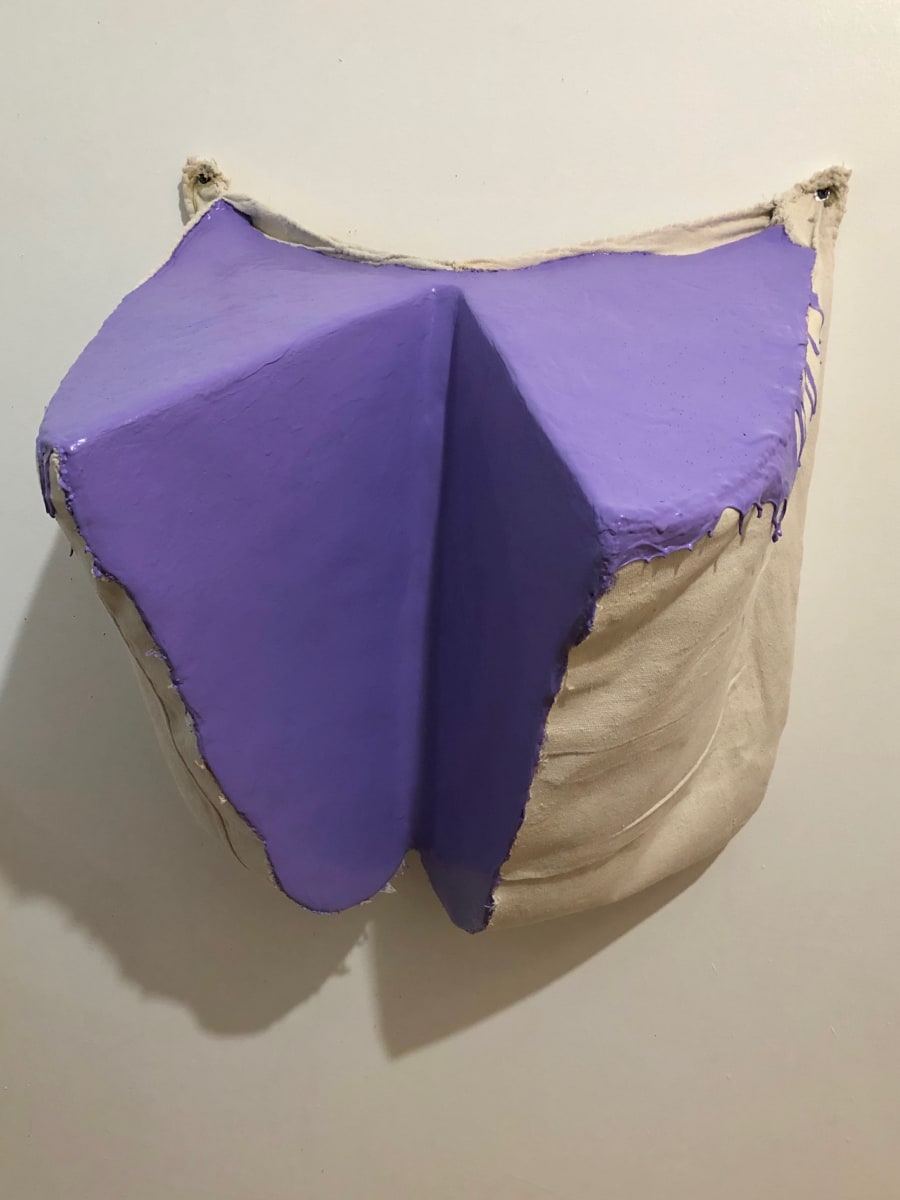 Cut Bag Painting (Purple Slit) by Howard Schwartzberg 