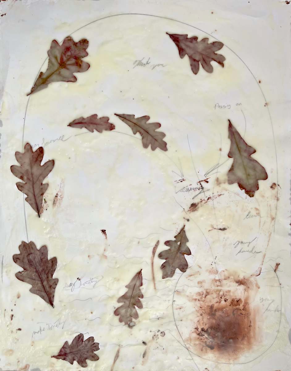 Dear Lawrence Drawings No.23, Image 1.