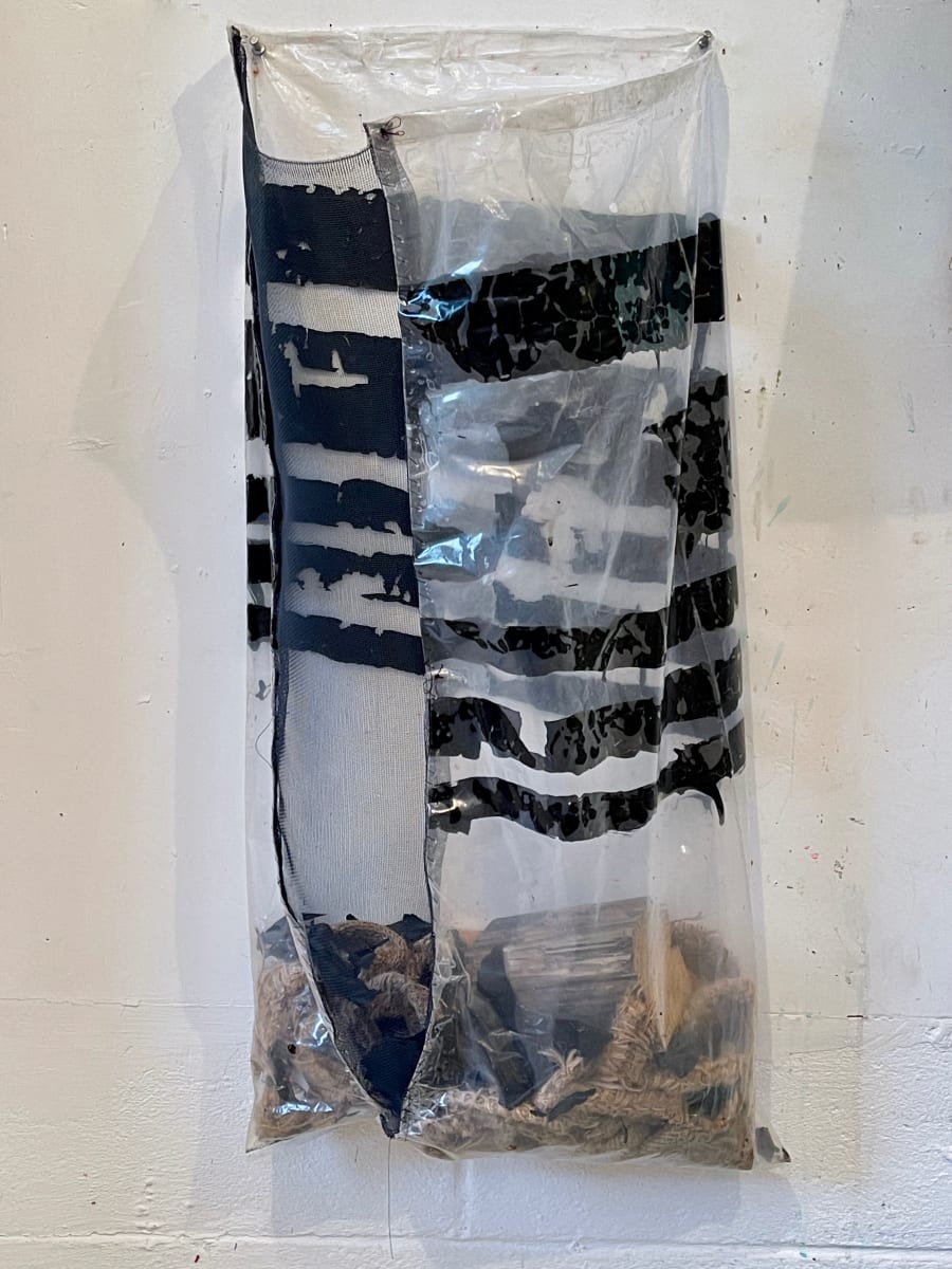 Transparent Bag Painting (black stripe) by Howard Schwartzberg 