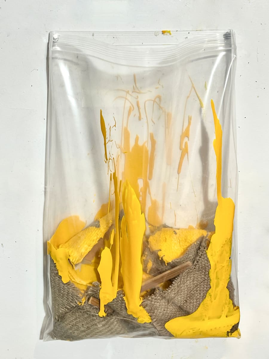 Living Painting (yellow) by Howard Schwartzberg 