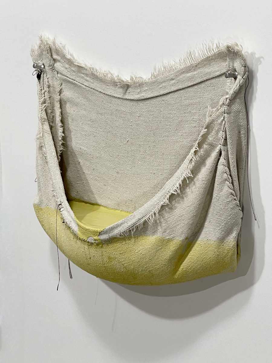 Pouch Painting  (yellow shade) by Howard Schwartzberg 
