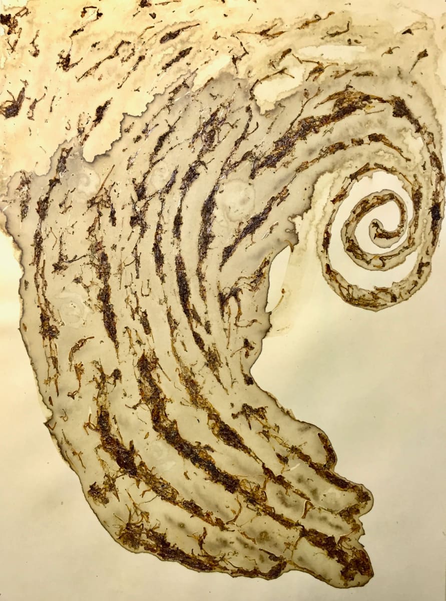 Spiral Worm Drawing No.12, Image 1.