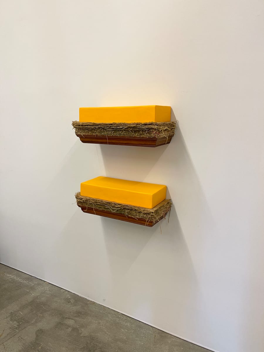 Bed Paintings for Judd (yellow above and below yellow) by Howard Schwartzberg 