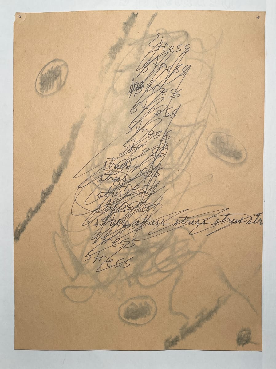 Stress drawing #2 by Howard Schwartzberg, Image 2.