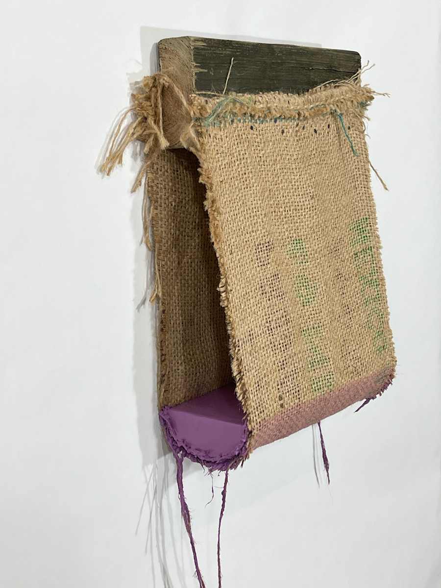 Suspended Painting (purple) by Howard Schwartzberg 
