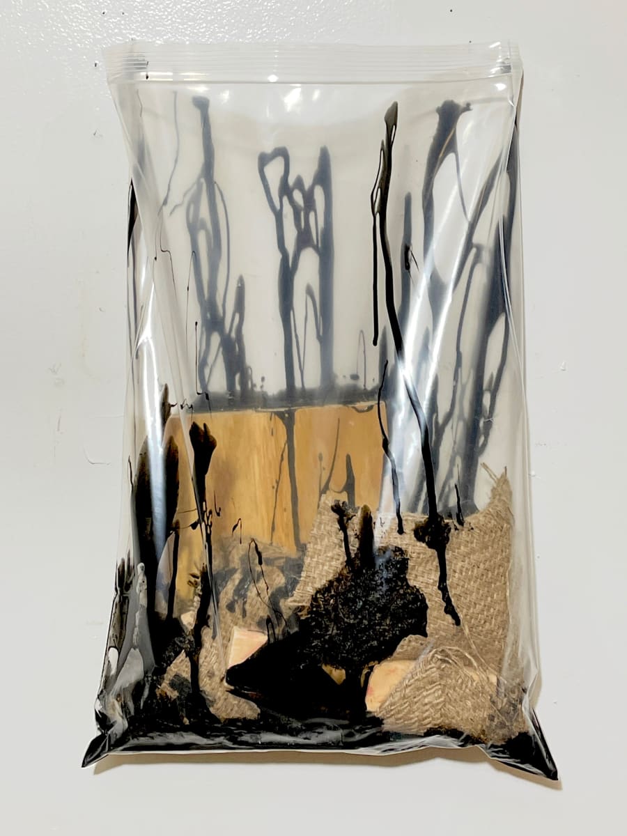 Living Painting (black #2) by Howard Schwartzberg 