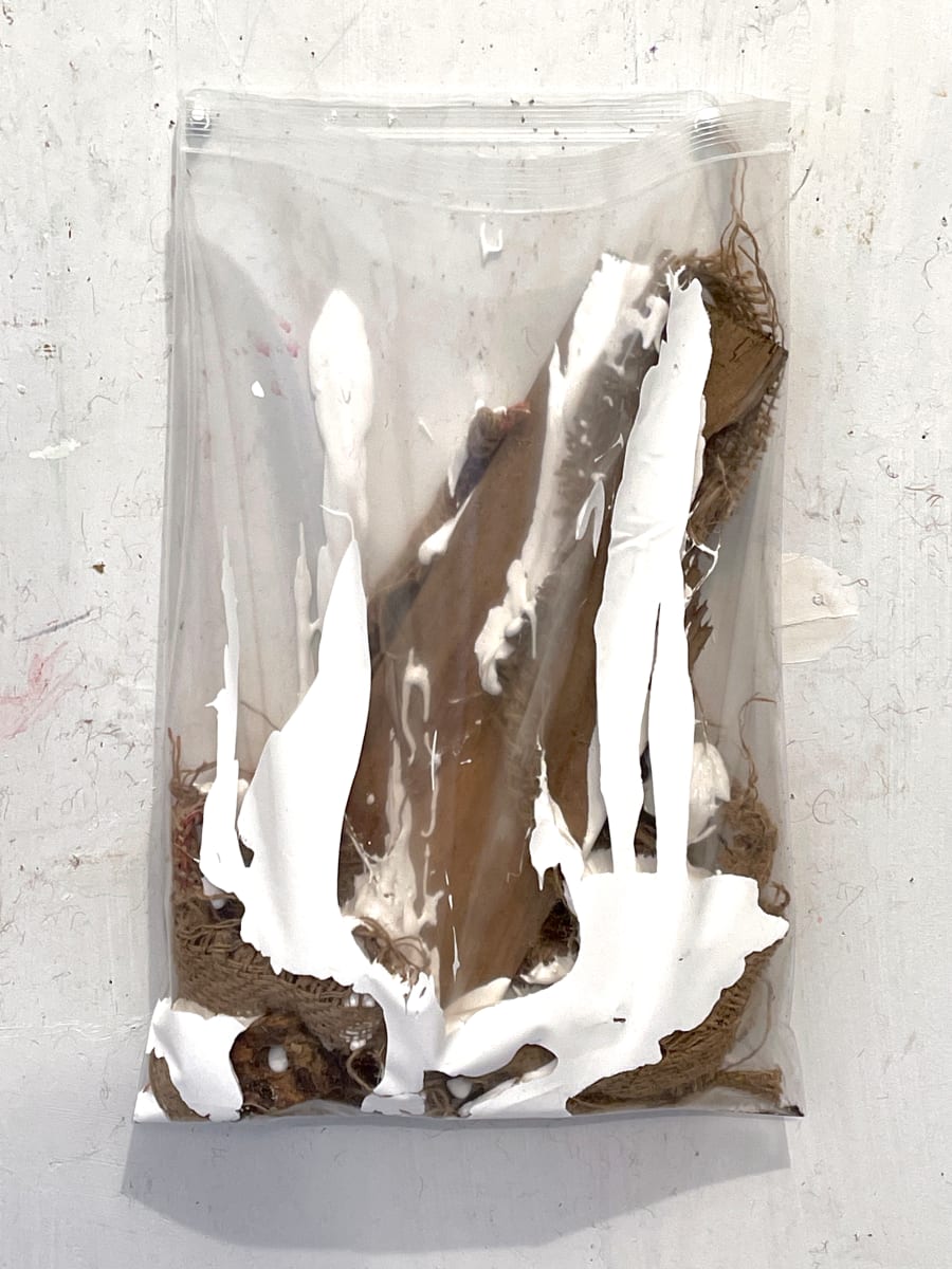 Living Painting (white #2) by Howard Schwartzberg 