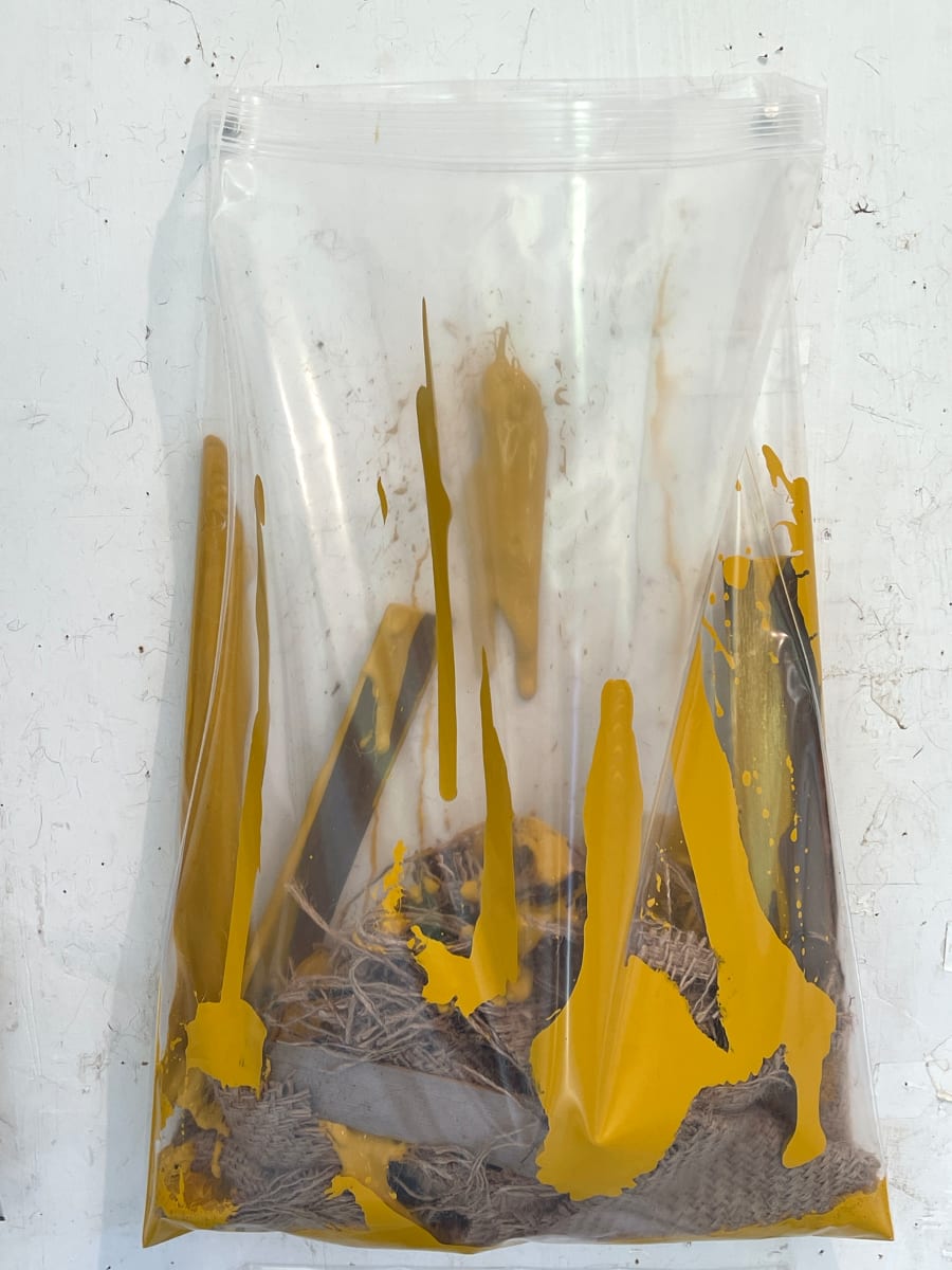 Living Painting (yellow oxide) by Howard Schwartzberg 