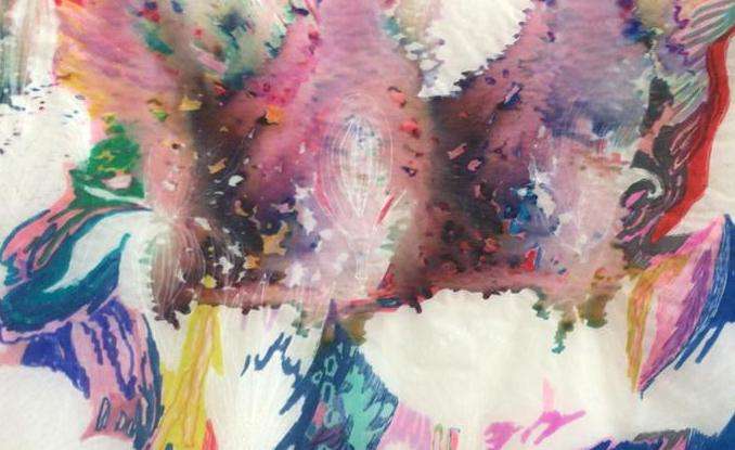 Codex des fleurs by Yanieb Fabre, Image 1.