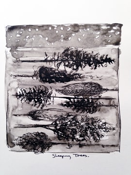 sleeping trees, Image 1.